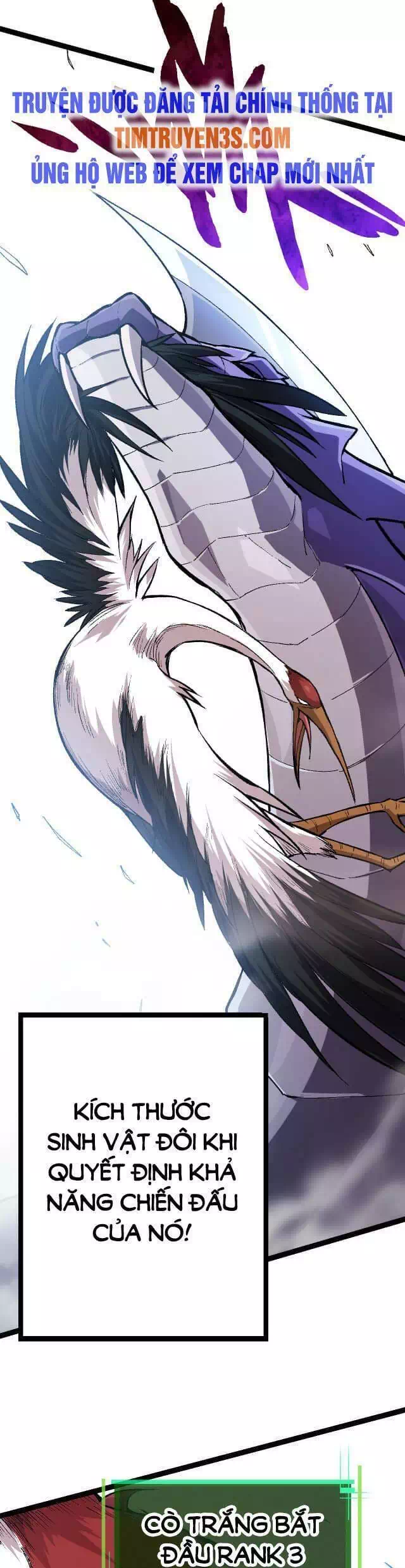 Chapter 11 - Image 3
