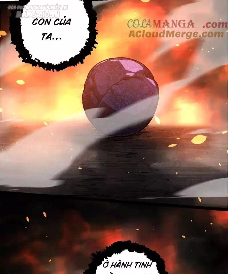 Chapter 247 - Image 25