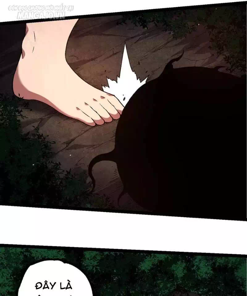 Chapter 247 - Image 36