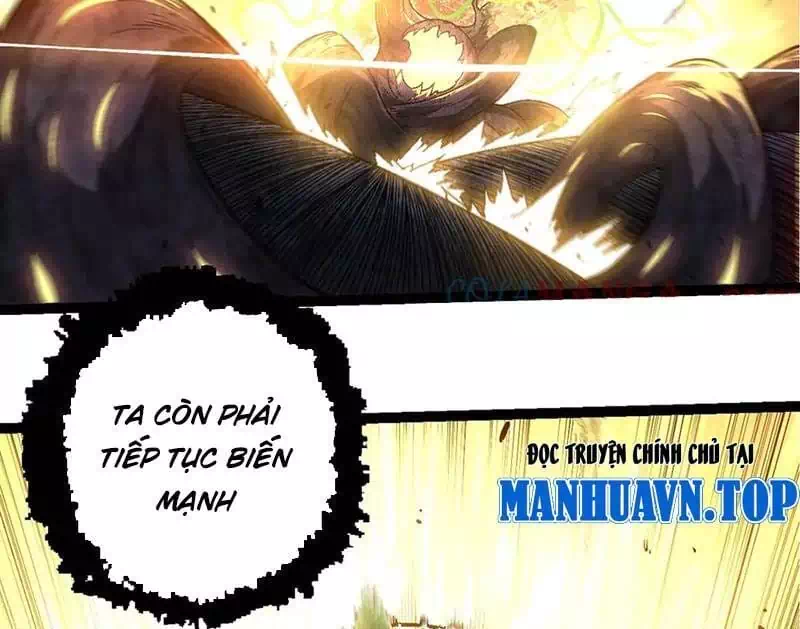 Chapter 275 - Image 29