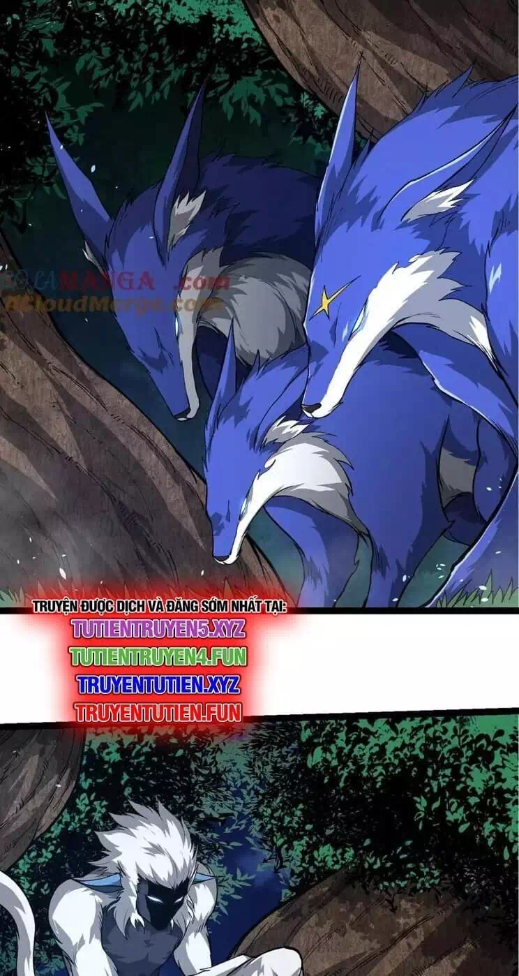Chapter 291 - Image 5