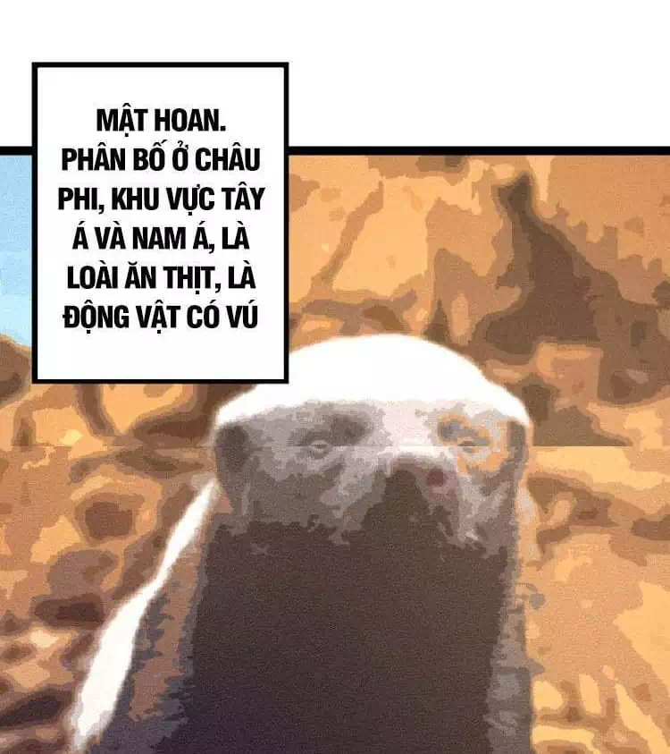 Chapter 31 - Image 7