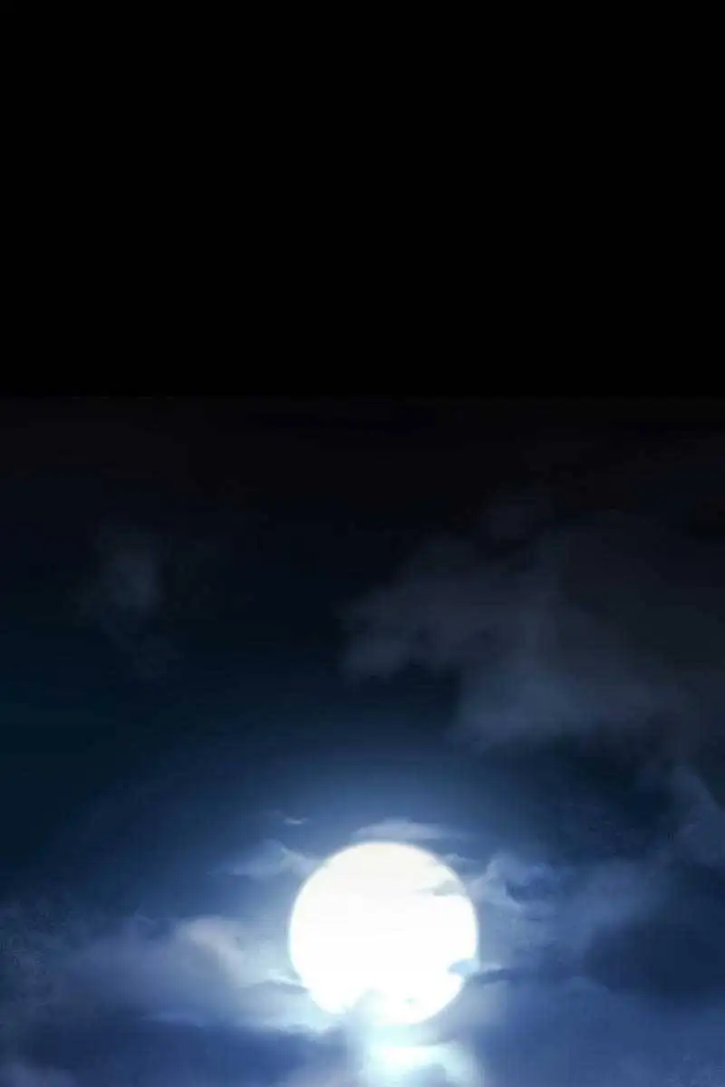 Chapter 1 - Image 3